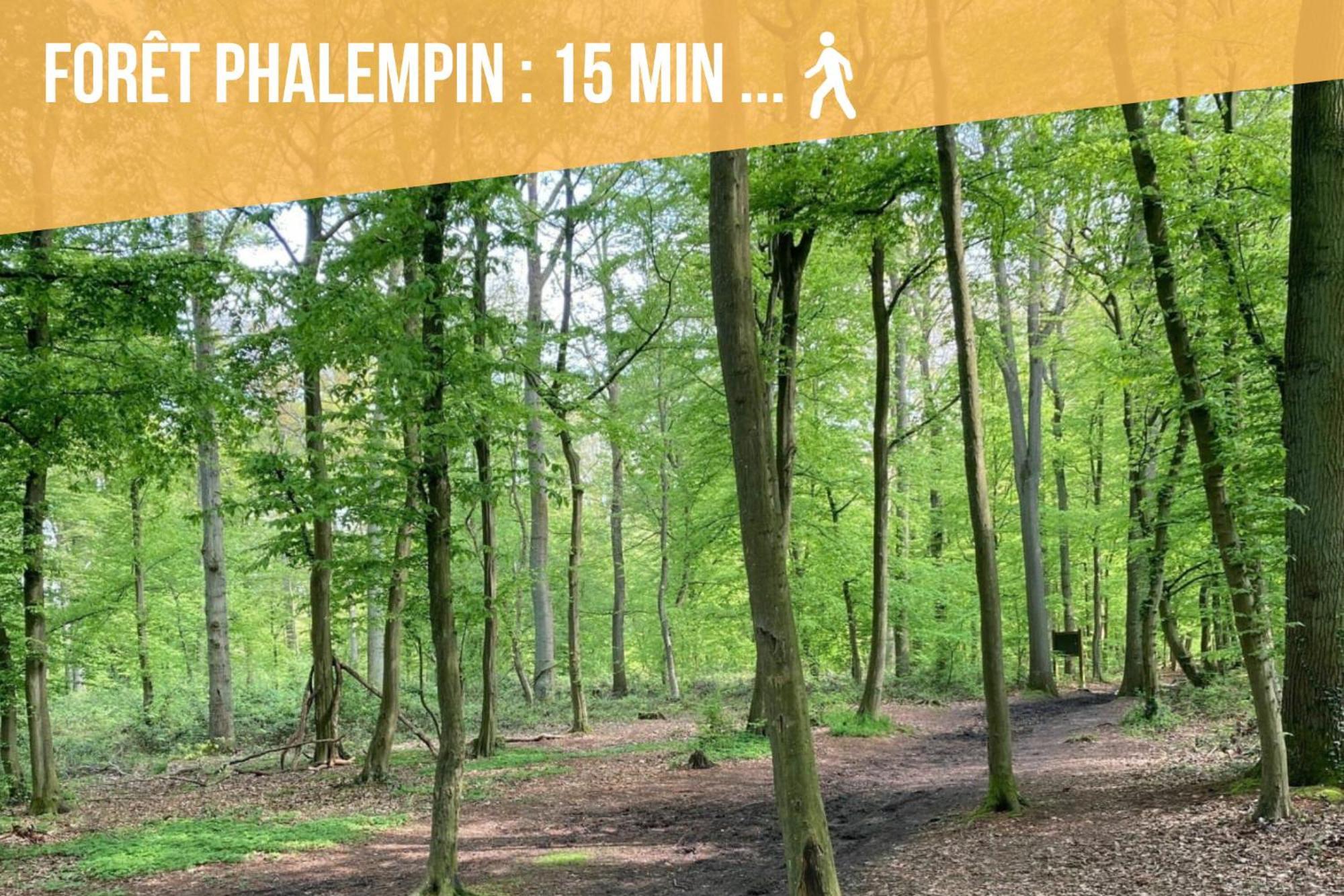Gite Le Duplex - 5Min De La Gare Vers Lille-Lens-Arras Phalempin Luaran gambar